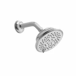 Buy ✨ TOTO Classic Series A Multi Full,Massage,Mist,Pause Showerhead in Polished Chrome 🛒
